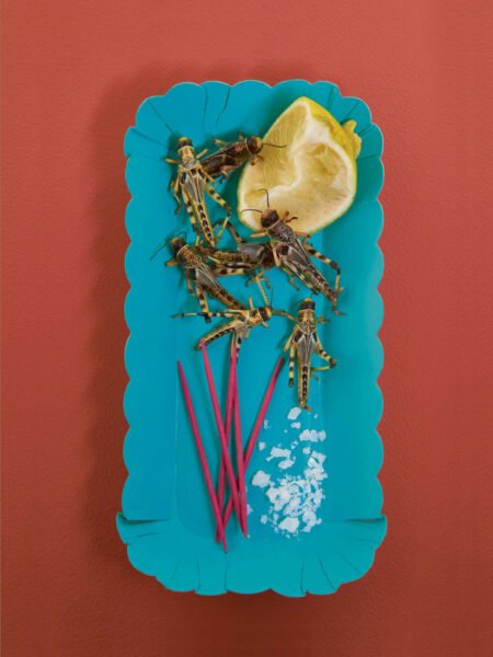 Atton Conrad photographer london conceptual 40 edited scaled