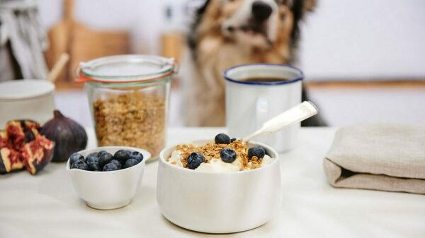 TESCO TEST Capture 17 1221 edited 1 scaled